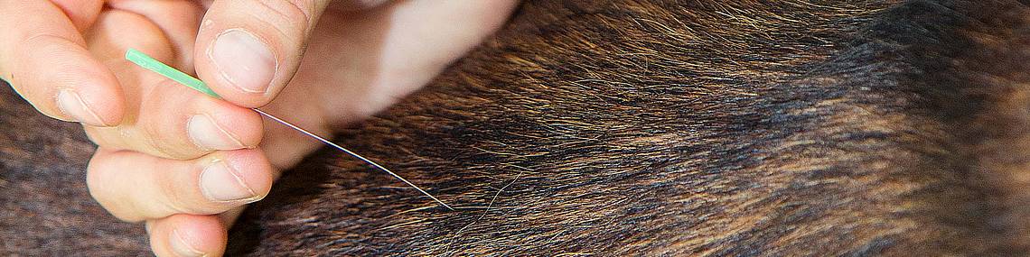 image-571
